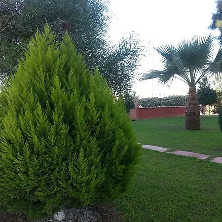 Golden Park Daire